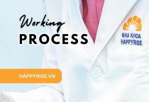 Quy Trình Làm Việc